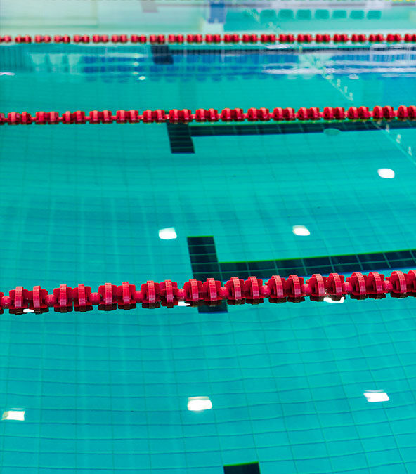 Abteilung Schwimmen: Rückkehr zur Hochschulmeisterschaft