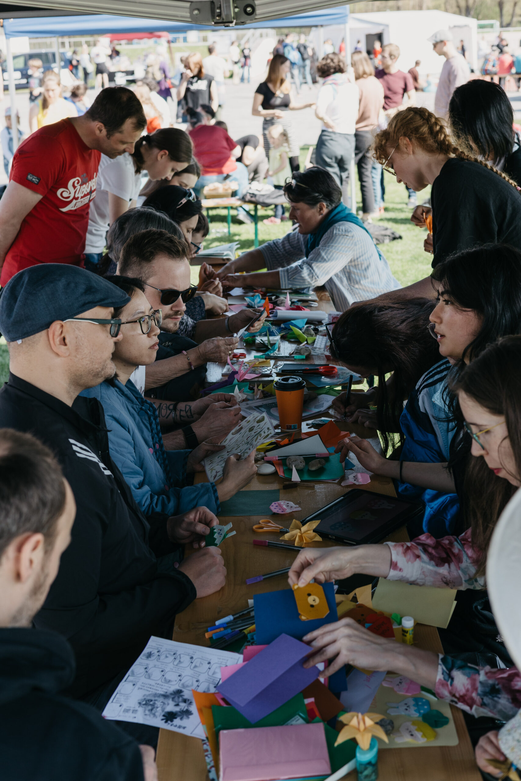 Kirschblütenfest 2025, Foto: Paul Israel