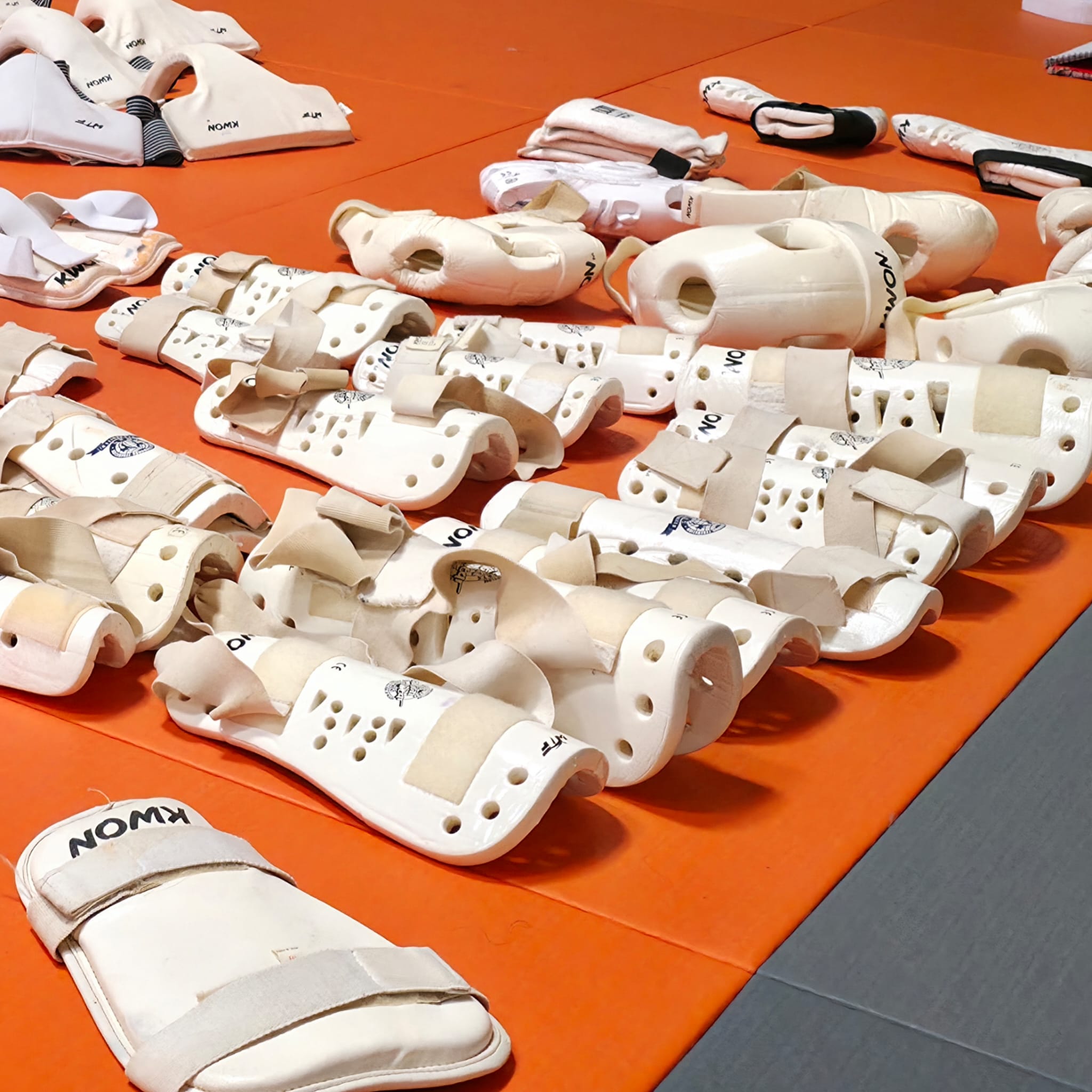 Kampfsportler beim Frühjahrsputz Kampfsportler beim Frühjahrsputz