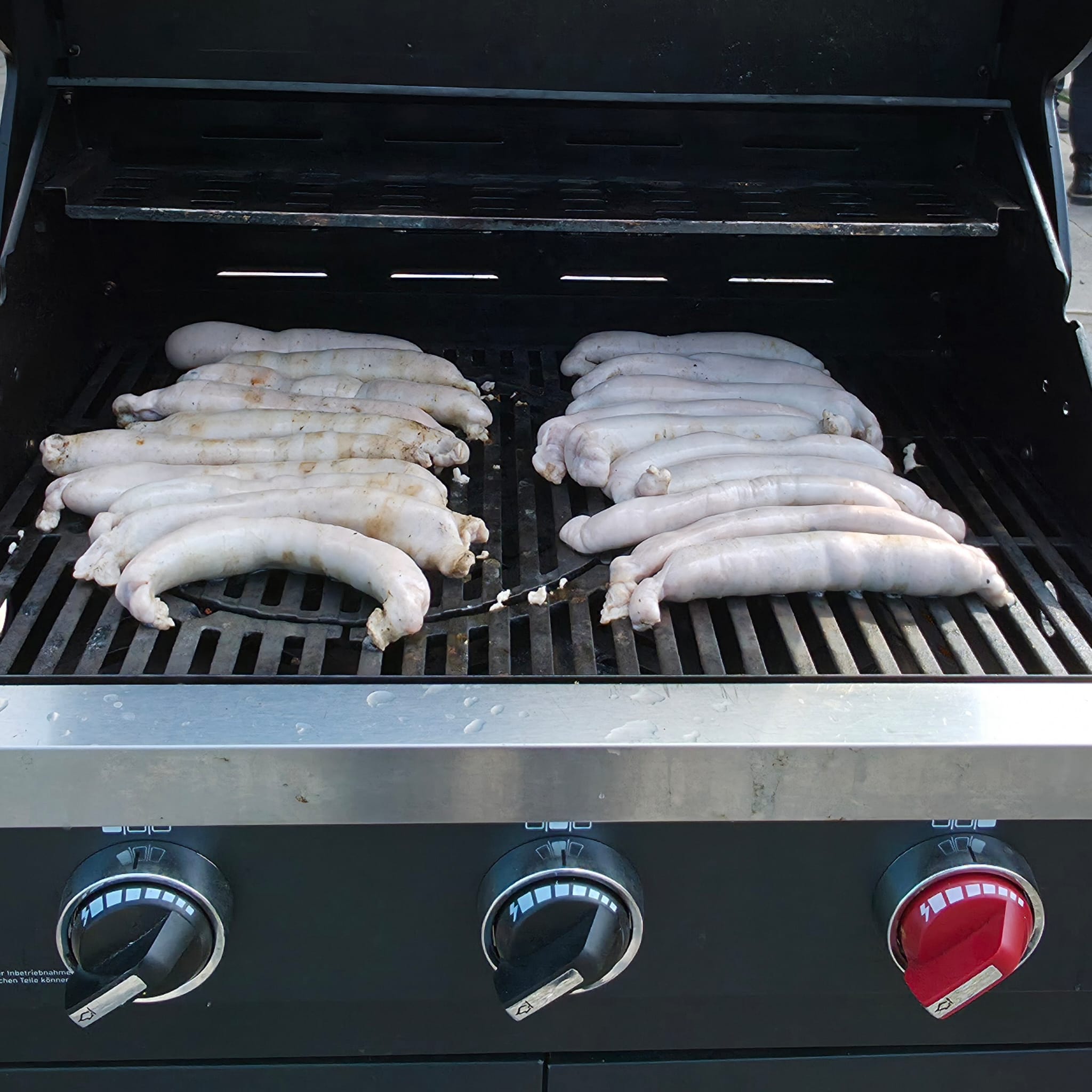 Kampfsportler beim Frühjahrsputz Kampfsportler beim Frühjahrsputz